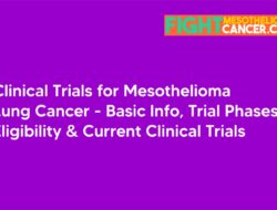 Clinical Trials for Mesothelioma Lung Cancer: Basic Info, Trial Phases, Eligibility and Current Clinical Trials
